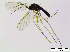  ( - bf-sci-01207)  @11 [ ] CreativeCommons - Attribution Non-Commercial Share-Alike (2016) Kjell Magne Olsen BioFokus