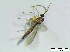  ( - bf-sci-01243)  @11 [ ] CreativeCommons - Attribution Non-Commercial Share-Alike (2016) Kjell Magne Olsen BioFokus