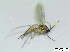  ( - bf-sci-01251)  @11 [ ] CreativeCommons - Attribution Non-Commercial Share-Alike (2016) Kjell Magne Olsen BioFokus