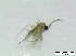  ( - bf-sci-01277)  @12 [ ] CreativeCommons - Attribution Non-Commercial Share-Alike (2016) Kjell Magne Olsen BioFokus