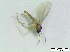  ( - bf-sci-01279)  @12 [ ] CreativeCommons - Attribution Non-Commercial Share-Alike (2016) Kjell Magne Olsen BioFokus