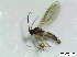  ( - bf-sci-01309)  @11 [ ] CreativeCommons - Attribution Non-Commercial Share-Alike (2016) Kjell Magne Olsen BioFokus