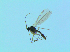  ( - bf-sci-01314)  @11 [ ] CreativeCommons - Attribution Non-Commercial Share-Alike (2016) Oivind Gammelmo BioFokus