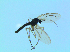  ( - bf-sci-01355)  @12 [ ] CreativeCommons - Attribution Non-Commercial Share-Alike (2016) Oivind Gammelmo BioFokus