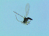  ( - bf-sci-01379)  @12 [ ] CreativeCommons - Attribution Non-Commercial Share-Alike (2016) Oivind Gammelmo BioFokus