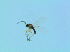  ( - bf-sci-01401)  @11 [ ] CreativeCommons - Attribution Non-Commercial Share-Alike (2016) Oivind Gammelmo BioFokus