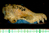  ( - MACN13230)  @11 [ ] Copyright (2013) Unspecified Unspecified