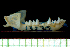  ( - MACN13230)  @11 [ ] Copyright (2013) Unspecified Unspecified