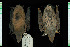  ( - MACN13230)  @11 [ ] CreativeCommons - Attribution Non-Commercial Share-Alike (2013) Unspecified Unspecified