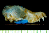  ( - MACN14747)  @11 [ ] Copyright (2013) Unspecified Unspecified