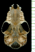  ( - MACN14747)  @11 [ ] Copyright (2013) Unspecified Unspecified