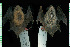 ( - MACN14747)  @11 [ ] CreativeCommons - Attribution Non-Commercial Share-Alike (2013) Unspecified Unspecified