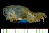  ( - MACN14834)  @11 [ ] Copyright (2013) Unspecified Unspecified