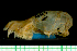  ( - MACN15740)  @11 [ ] Copyright (2013) Unspecified Unspecified