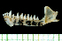  ( - MACN15740)  @11 [ ] Copyright (2013) Unspecified Unspecified