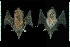  ( - MACN15740)  @11 [ ] CreativeCommons - Attribution Non-Commercial Share-Alike (2013) Unspecified Unspecified