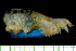  ( - MACN16848)  @11 [ ] Copyright (2013) Unspecified Unspecified