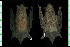  ( - MACN16848)  @11 [ ] CreativeCommons - Attribution Non-Commercial Share-Alike (2013) Unspecified Unspecified