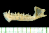 ( - MACN16848)  @11 [ ] Copyright (2013) Unspecified Unspecified