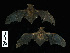  ( - MACN18042)  @11 [ ] CreativeCommons - Attribution Non-Commercial Share-Alike (2013) Unspecified Unspecified