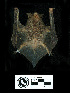  ( - MACN18050)  @11 [ ] CreativeCommons - Attribution Non-Commercial Share-Alike (2013) Unspecified Unspecified
