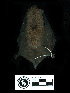  ( - MACN19206)  @11 [ ] CreativeCommons - Attribution Non-Commercial Share-Alike (2013) Unspecified Unspecified