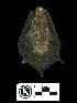  ( - MACN19206)  @11 [ ] CreativeCommons - Attribution Non-Commercial Share-Alike (2013) Unspecified Unspecified