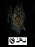  ( - MACN30.290)  @11 [ ] CreativeCommons - Attribution Non-Commercial Share-Alike (2013) Unspecified Unspecified