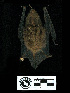  ( - MACN30.290)  @11 [ ] CreativeCommons - Attribution Non-Commercial Share-Alike (2013) Unspecified Unspecified