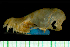  ( - MACN49.156)  @11 [ ] Copyright (2013) Unspecified Unspecified