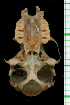  ( - MACN49.156)  @11 [ ] Copyright (2013) Unspecified Unspecified