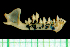  ( - MACN49.156)  @11 [ ] Copyright (2013) Unspecified Unspecified