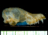  ( - MACN49.165)  @11 [ ] Copyright (2013) Unspecified Unspecified