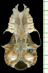  ( - MACN49.165)  @11 [ ] Copyright (2013) Unspecified Unspecified