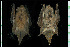  ( - MACN49.165)  @11 [ ] CreativeCommons - Attribution Non-Commercial Share-Alike (2013) Unspecified Unspecified