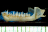  ( - MACN49.165)  @11 [ ] Copyright (2013) Unspecified Unspecified