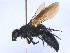  ( - SCOL-00015)  @11 [ ] Copyright (c) (2024) Damian Ramirez Unspecified
