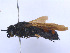  ( - SCOL-00020)  @11 [ ] Copyright (c) (2024) Damian Ramirez Unspecified