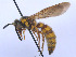  ( - SCOL-00050)  @11 [ ] Copyright (c) (2024) Damian Ramirez Unspecified