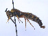  ( - SCOL-00054)  @11 [ ] Copyright (c) (2024) Damian Ramirez Unspecified