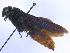  ( - SCOL-00055)  @11 [ ] Copyright (c) (2024) Damian Ramirez Unspecified