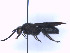  ( - SCOL-00071)  @11 [ ] Copyright (c) (2024) Damian Ramirez Unspecified