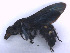  ( - SCOL-00087)  @11 [ ] Copyright (c) (2024) Damian Ramirez Unspecified