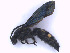  ( - SCOL-00088)  @11 [ ] Copyright (c) (2024) Damian Ramirez Unspecified