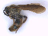  ( - SCOL-00093)  @11 [ ] Copyright (c) (2024) Damian Ramirez Unspecified