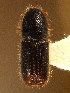  ( - BHJ101)  @13 [ ] No Rights Reserved (2012) Unspecified University Museum of Bergen, Natural History Collections
