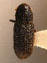  ( - BHJ124)  @12 [ ] No Rights Reserved (2012) Unspecified University Museum of Bergen, Natural History Collections