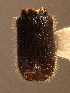  ( - BHJ131)  @12 [ ] No Rights Reserved (2012) Unspecified University Museum of Bergen, Natural History Collections