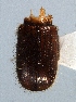 ( - BHJ169)  @12 [ ] No Rights Reserved (2012) Unspecified University Museum of Bergen, Natural History Collections