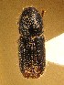  ( - BHJ192)  @12 [ ] No Rights Reserved (2012) Unspecified University Museum of Bergen, Natural History Collections